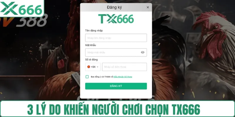 3 lý do TX666 được chọn ngay từ lần đầu trải nghiệm