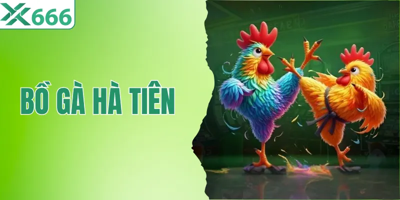 Khám Phá Các Đặc Điểm Nổi Bật Của Bồ Gà Hà Tiên Tại TX666 